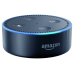 Logo Amazon Echo Dot 2