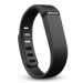 Logo Fitbit Flex